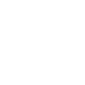 APWU Local 390